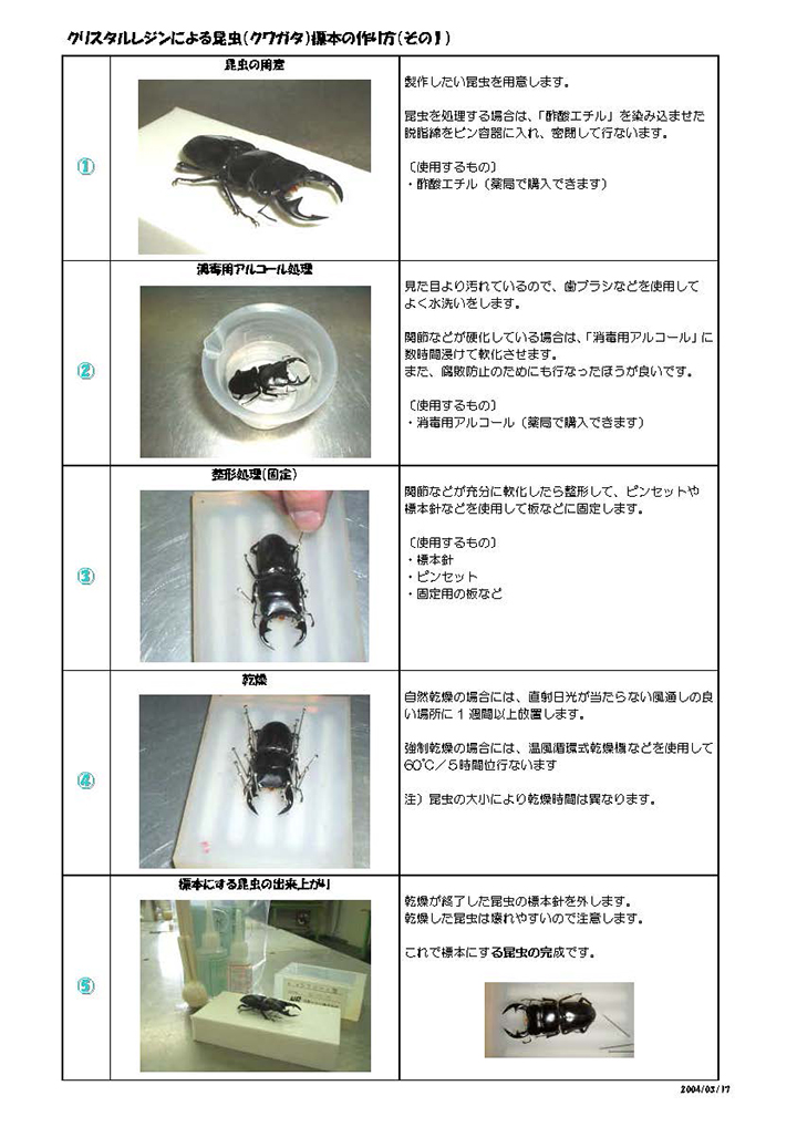 クリスタルレジンによる昆虫標本の作り方 アヤカシ模型